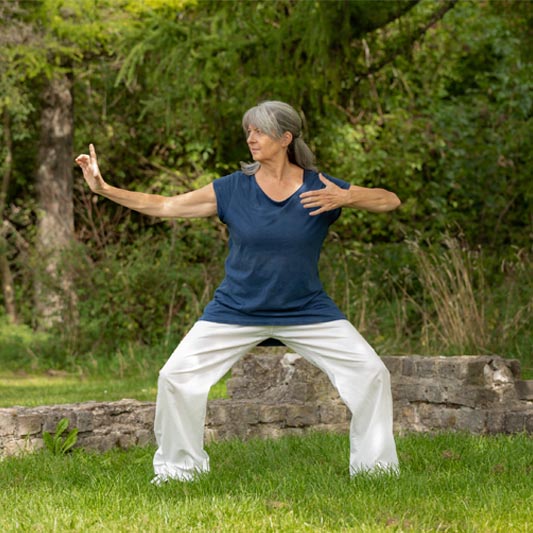 <span class='title'></span>
<span class='desc'></span>