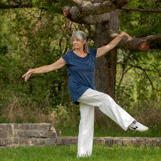 <span class='title'></span>
<span class='desc'></span>