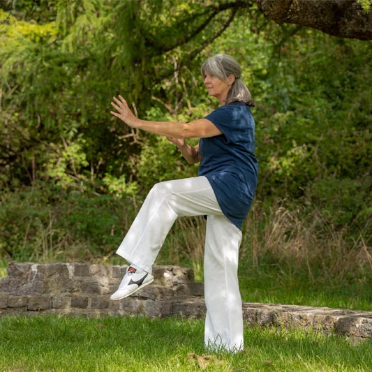 <span class='title'></span>
<span class='desc'></span>