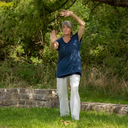 <span class='title'></span>
<span class='desc'></span>