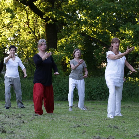 <span class='title'></span>
<span class='desc'></span>