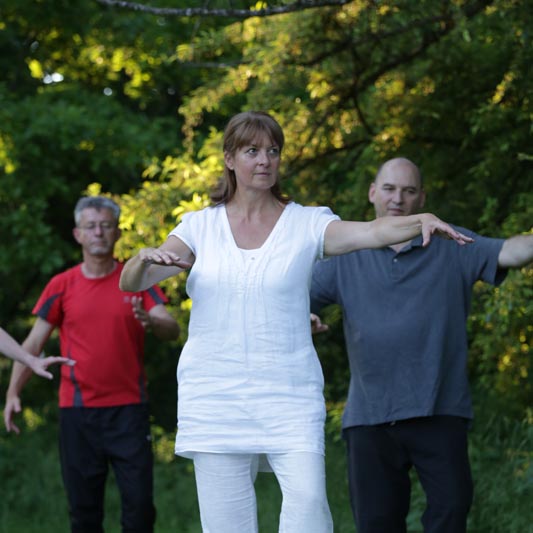 <span class='title'></span>
<span class='desc'></span>