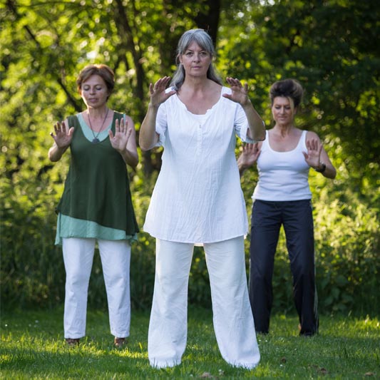 <span class='title'></span>
<span class='desc'></span>